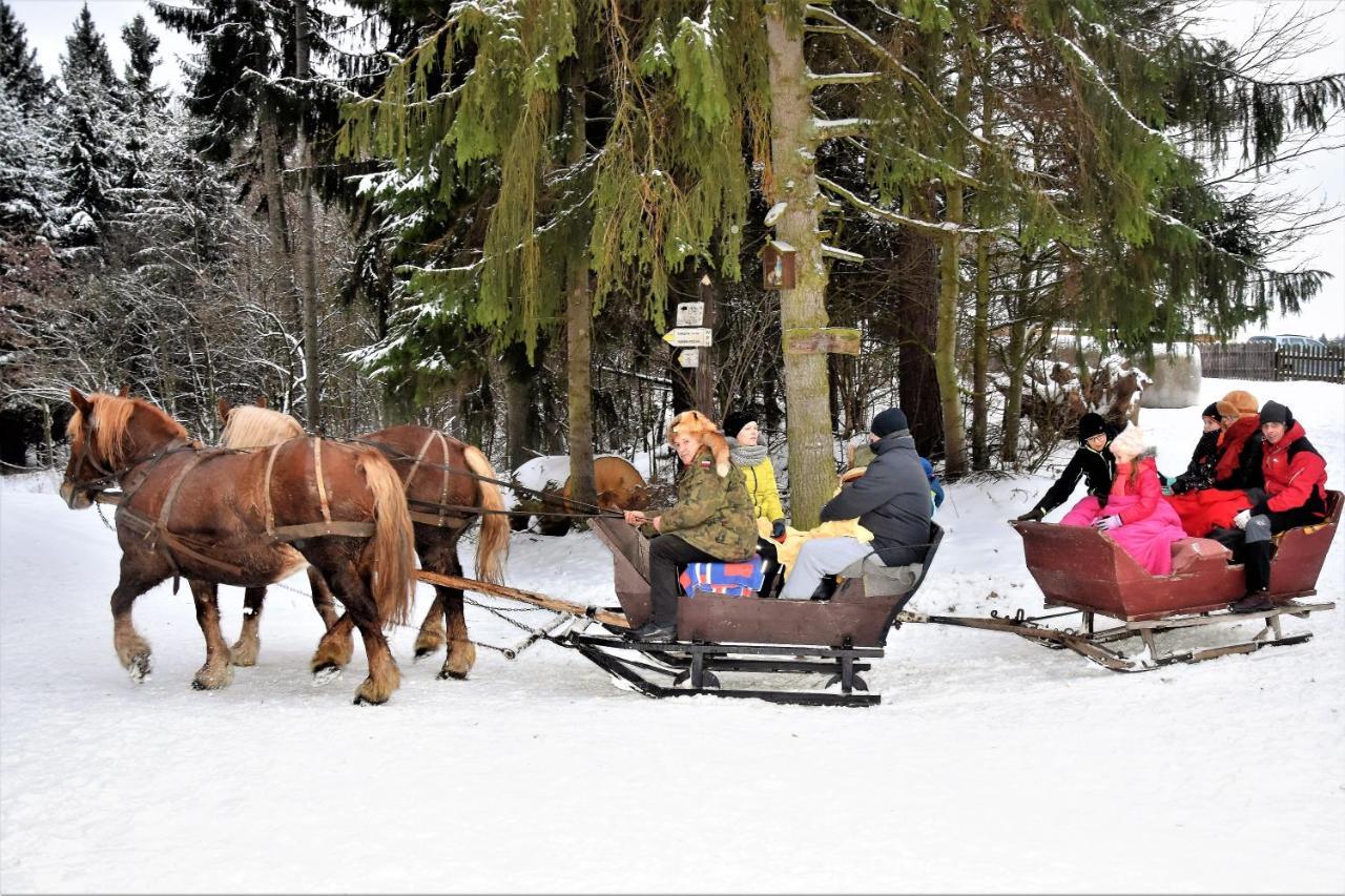 Wigierski Park Narodowy Appartement Suwałki Buitenkant foto