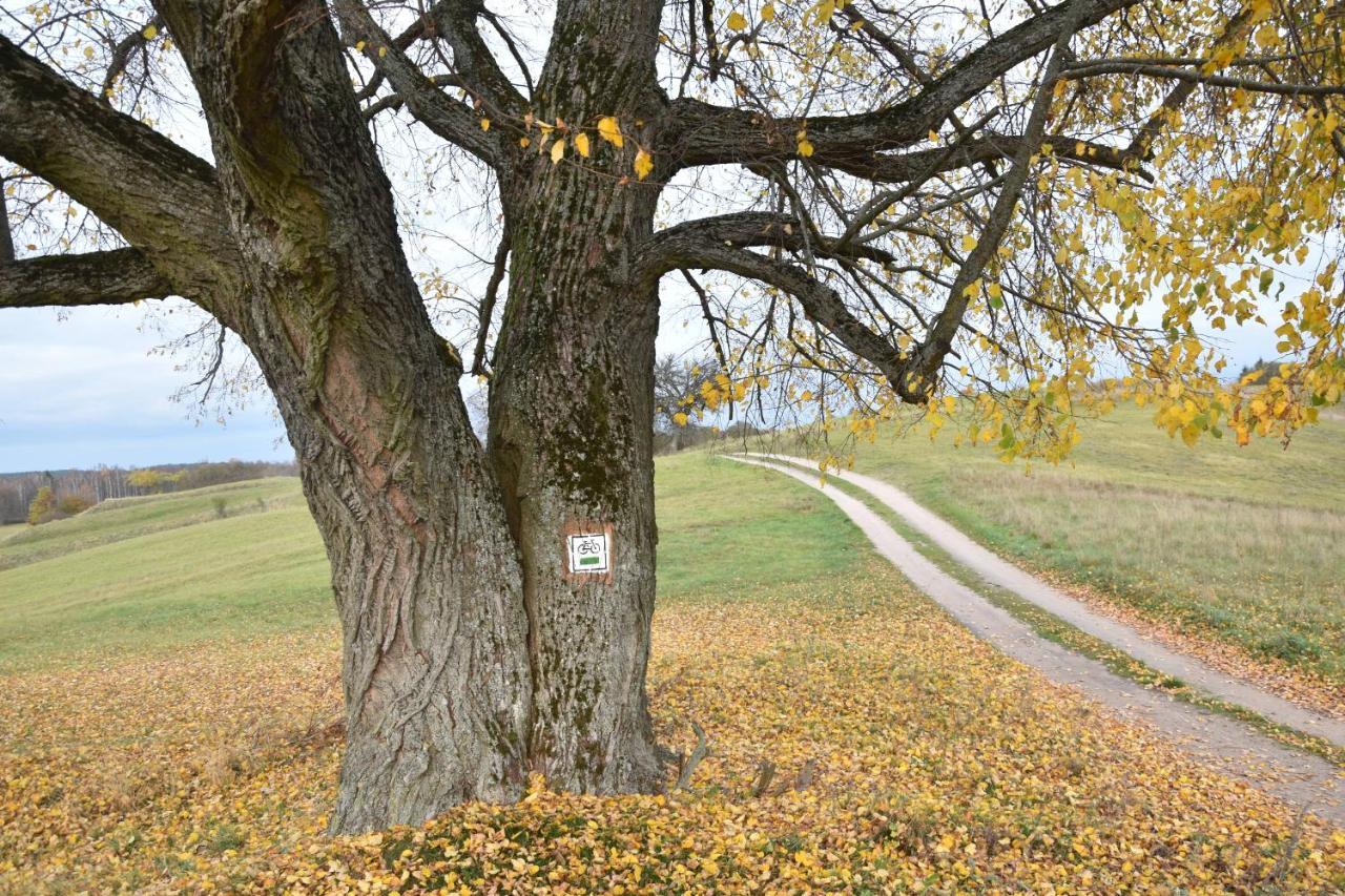 Wigierski Park Narodowy Appartement Suwałki Buitenkant foto